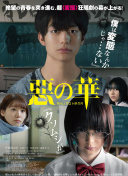 两年半网站免-两年半网站免最新版v18.15.88-2265安卓网